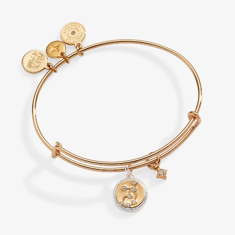 Virgo Zodiac Charm Bangle